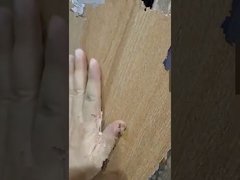 Giới thiệu gạch ceramic vân gỗ kích thước 200x1200mm