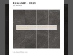 Tấm ốp lát bằng sứ trắng trong nhà phong cách cho giải pháp sàn bền bỉ