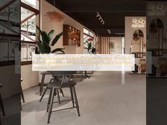 Độ chống trượt R9 đến R11 Đánh giá Gạch Porcelain Hiện đại Dễ lau chùi và bảo trì Phong cách Đơn giản Hiện đại Giải pháp Sàn bền và phong cách