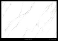 Ngói sứ đá cẩm thạch trắng Calacatta Carrara tráng men, Gạch lát sàn nội thất 810 * 1410mm