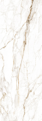 Honed Surface Marble Slab Boutique Fish Maw Gold Độ dày 12 mm