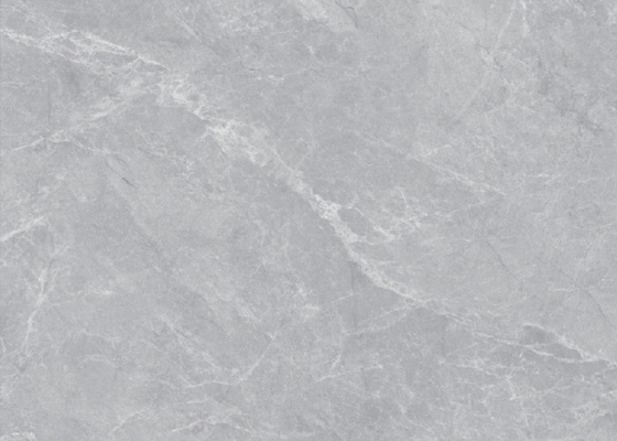 Haute Grey 800 * 800 gạch sứ trong nhà cho phòng ăn