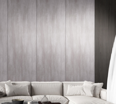 Các tấm gạch sứ nội thất màu xám 800 * 2600mm cho các ứng dụng đa năng