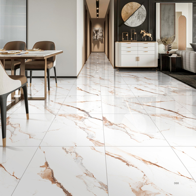 Lớp gạch sứ trong nhà được đánh bóng hấp thụ nước 0,5% và nhà câu lạc bộ với kết thúc đánh bóng