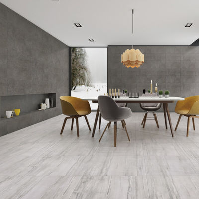Dễ bảo trì gạch sứ trong nhà với hấp thụ nước 0,5% chống đốm