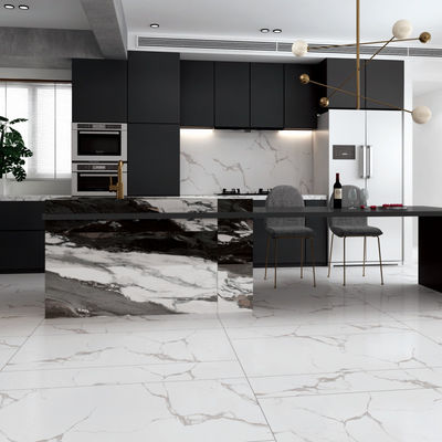 Chống vết bẩn Vâng Bạch cầu sứ trong nhà màu xám cho các giải pháp sàn mịn và bền