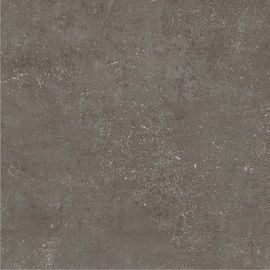 Gạch lát sàn màu xám Sứ 24 
