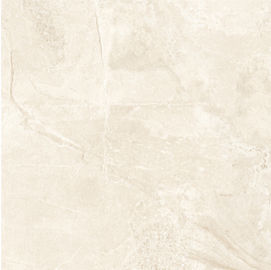 Gạch sứ trong nhà 24 