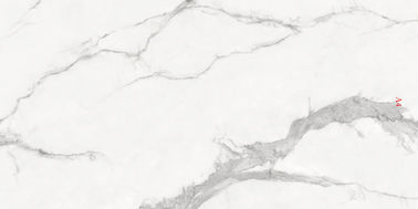 Thiết kế nghệ thuật bằng đá cẩm thạch nhìn 900x1800 Ngói sứ hiện đại