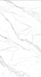 Bề mặt mờ 1200 * 2400 Tấm sàn lớn Ngói màu trắng Bán hàng nóng Ngói sứ trong nhà Còn hàng