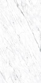 Nhà cung cấp Phật Sơn Phòng khách Toàn thân Gạch lát bằng đá cẩm thạch trắng Carrara Jazz trắng Đá cẩm thạch nhìn Gạch men 48 