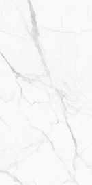 Gạch lát sàn bằng sứ hiện đại Thiết kế mới Phật Sơn Trung Quốc Đá cẩm thạch nhìn gạch Kích thước 1200 * 2400mm