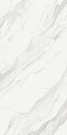 2020 Thiết kế mới Màu trắng 1200x2400mm Độ dày 5.5mm Sàn sứ Ngói bằng sứ Tường gạch Giá gạch men