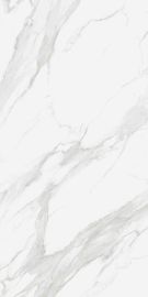 Kích thước siêu lớn 1200x2400mm Tấm sứ lát cho tường và sàn Tấm lát sàn hình vuông lớn