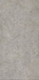 Màu xám hoàn toàn mờ bề mặt Phòng khách 1200x2400 Ngói lát sàn bằng sứ