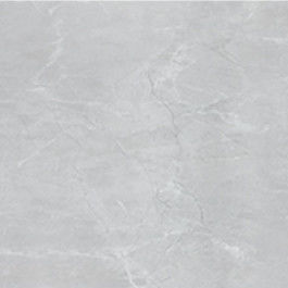Phòng tắm Nhà bếp Matt 10mm 60 * 60cm Ngói sứ hiện đại