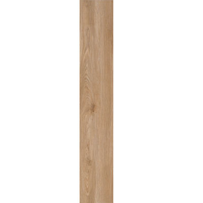 Tên