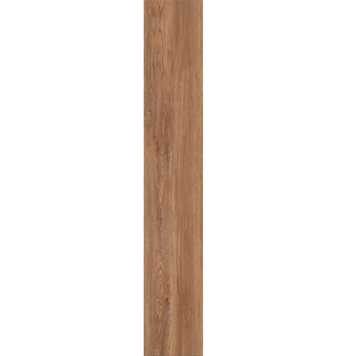 Tên