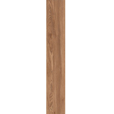 Tên